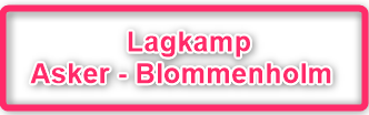 Lagkampen Asker - Blommenholm ble hjemmeseier